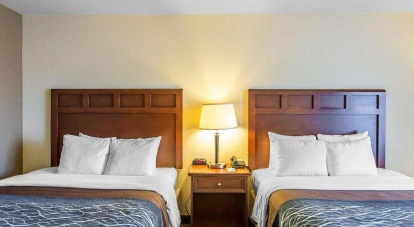 Comfort Inn & Suites Madisonville Ngoại thất bức ảnh
